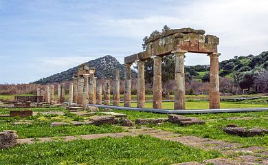 The Sanctuary of Artemis