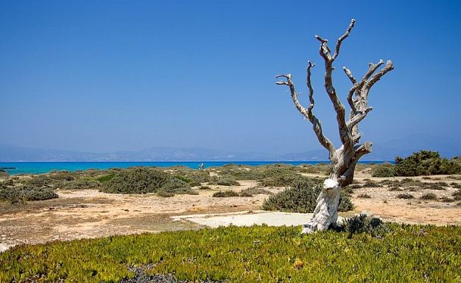 Chrissi Island (Crete): how to get there by yourself